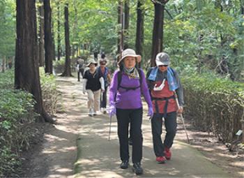 ǰ 븦 , ŸD-Day Ʈŷ źõ ڽ 